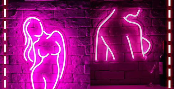 Sexy Lady Neon Sign for Bedroom Man Cave Bar Store Home Party Art Decor Power Consumption 1
