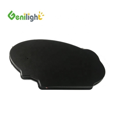60*30 cm Screen Dimension Electronic Neon Sign with Design Led and SDK Function